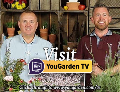 GardenBargains - Gardening For Everyone